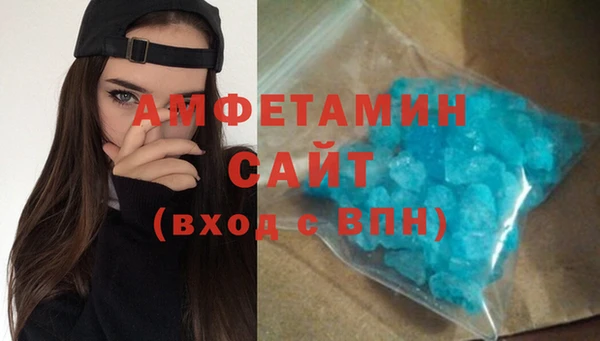 шишки Белокуриха