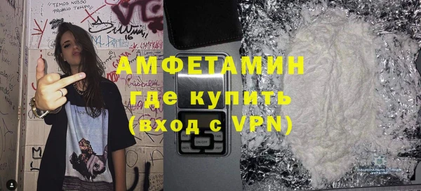шишки Белокуриха