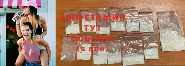 шишки Белокуриха