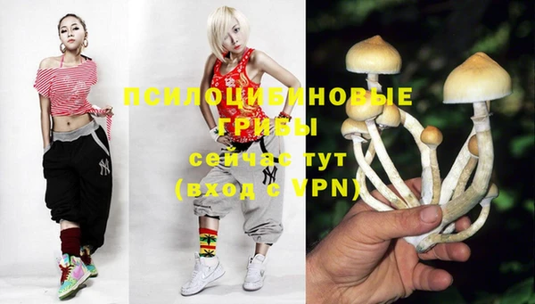 ALPHA PVP Балахна