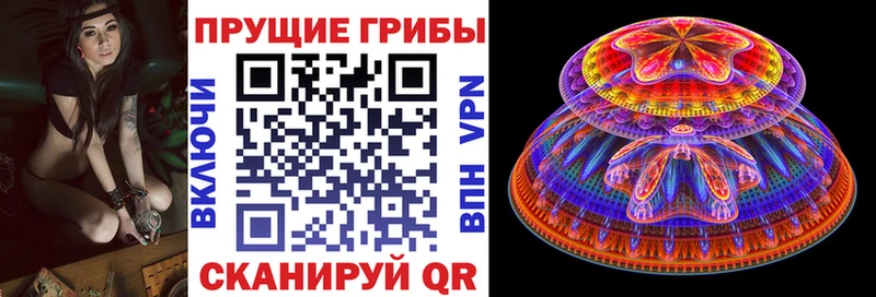 Галлюциногенные грибы MAGIC MUSHROOMS  нарко площадка Telegram  Закаменск 