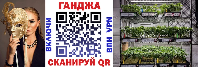 Бошки марихуана индика  Закаменск 